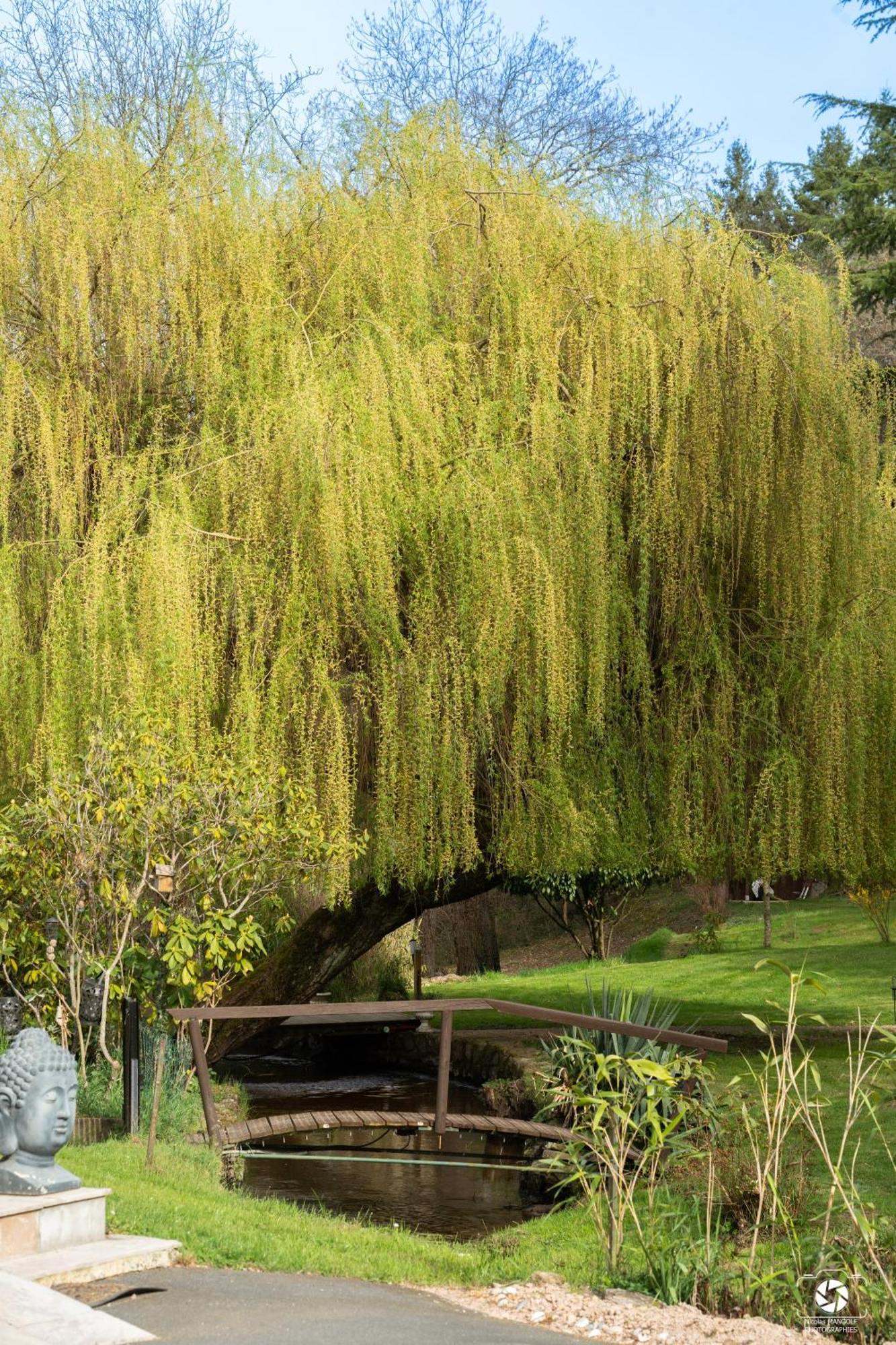 Le Moulin De La Vernoelle Premilhat Luaran gambar